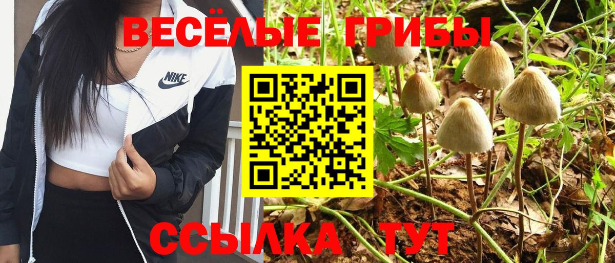 Галлюциногенные грибы мицелий Рязань
